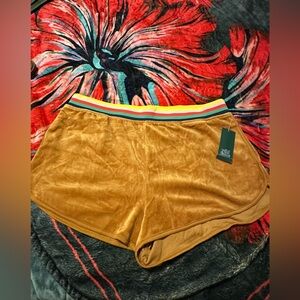 NWT Wild Fable Velour Shorts | Rust Color w/ Rainbow Waistband Size XL